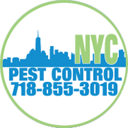 NYC Pest Control