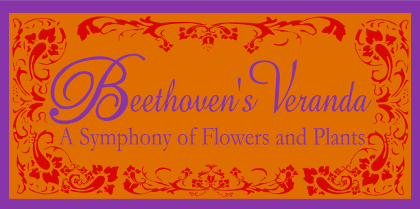 Beethoven's Veranda