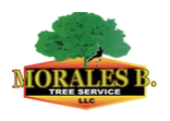 Morales Brothers Tree Service
