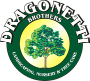 Dragonetti Brothers Landscaping