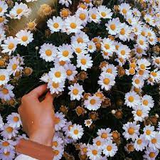 W ERTF\